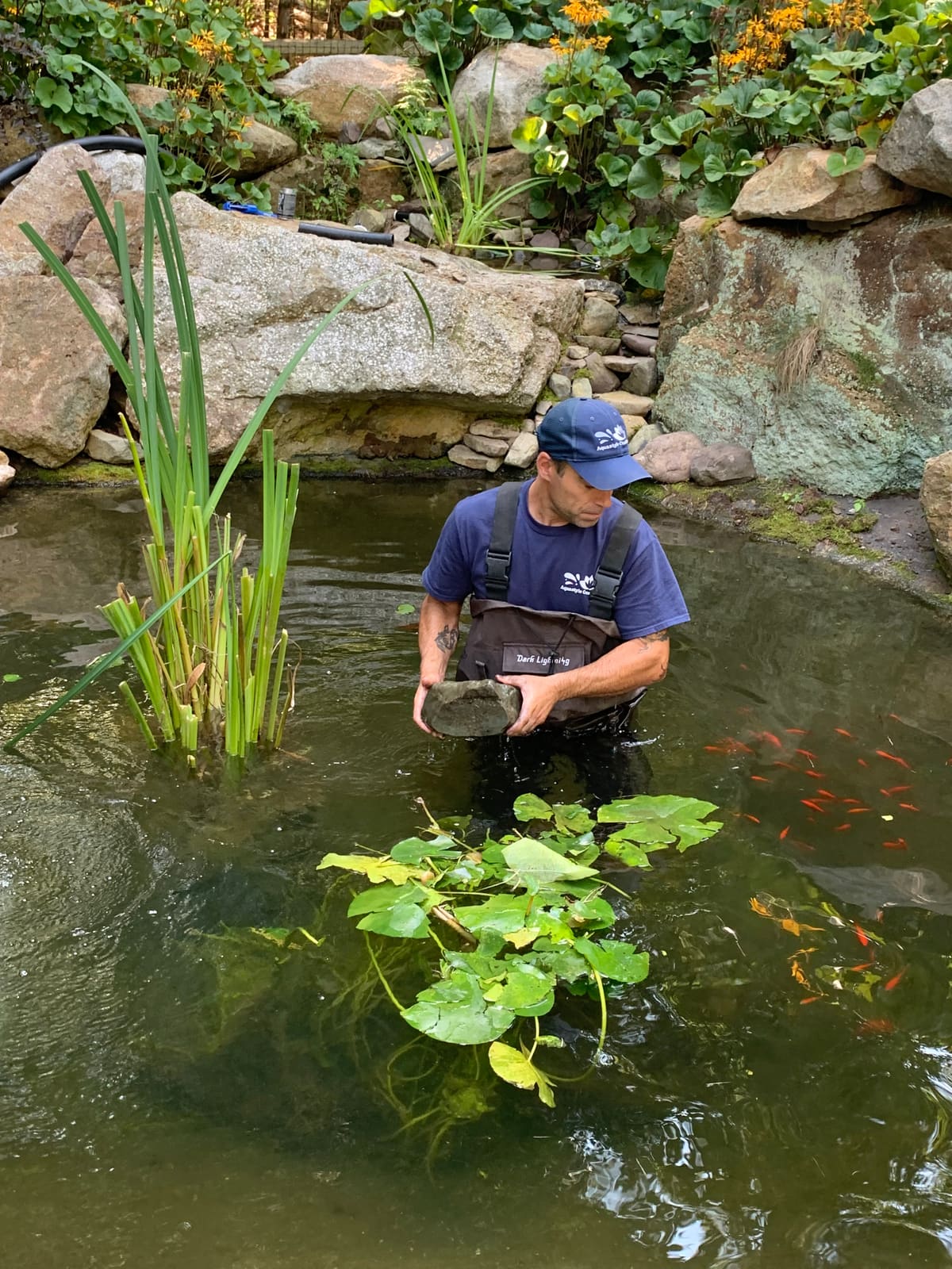 Aquastyle Creations technician performing pond maintenance in Lehighton, PA