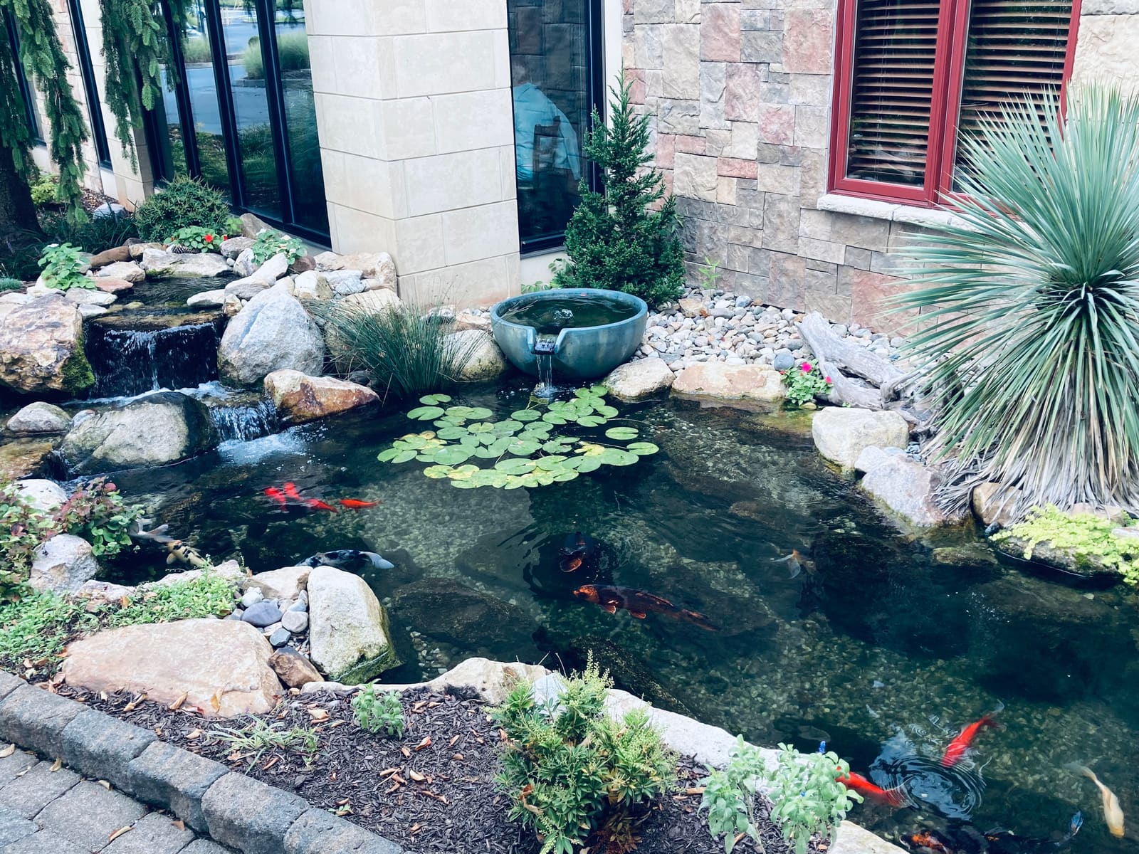 Koi pond with waterfall and lily pads installed in the Lehigh Valley